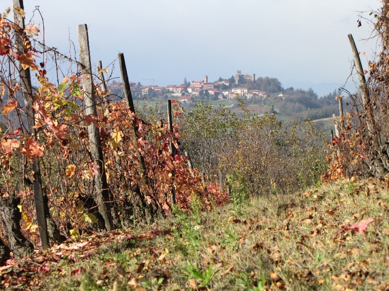 Cinzano vu des vignobles d'Albugnano