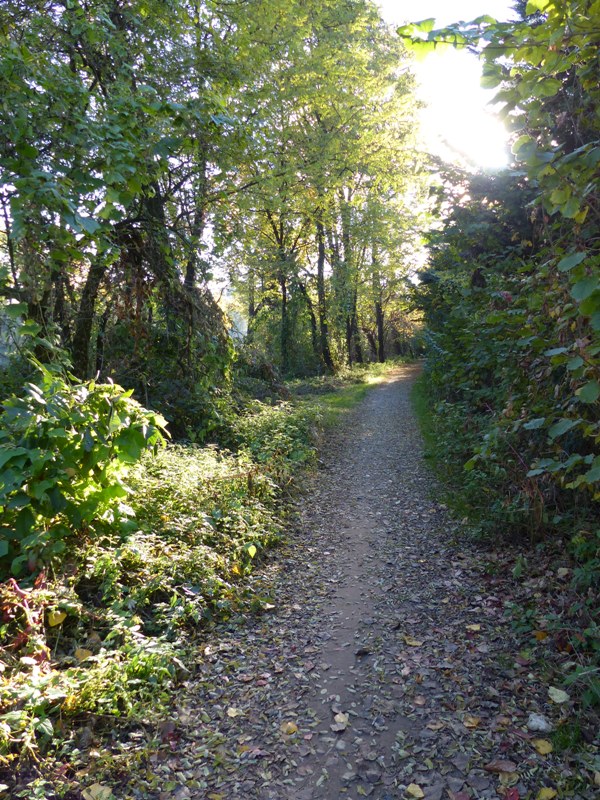 Sentier pédestre dans le Parc Le Vallere
